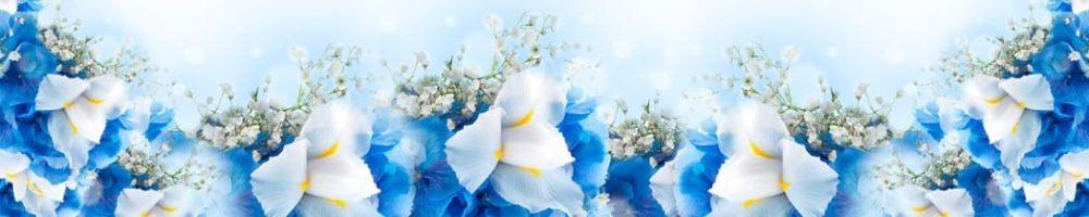 <span  class="uc_style_uc_tiles_grid_image_elementor_uc_items_attribute_title" style="color:#ffffff;">skinali-9420</span>