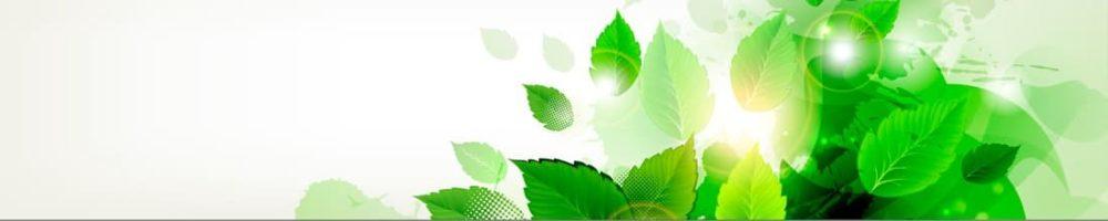 <span  class="uc_style_uc_tiles_grid_image_elementor_uc_items_attribute_title" style="color:#ffffff;">skinali-9491</span>