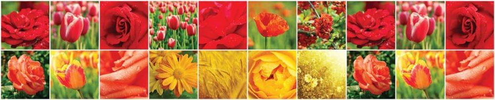 <span  class="uc_style_uc_tiles_grid_image_elementor_uc_items_attribute_title" style="color:#ffffff;">skinali-9623</span>