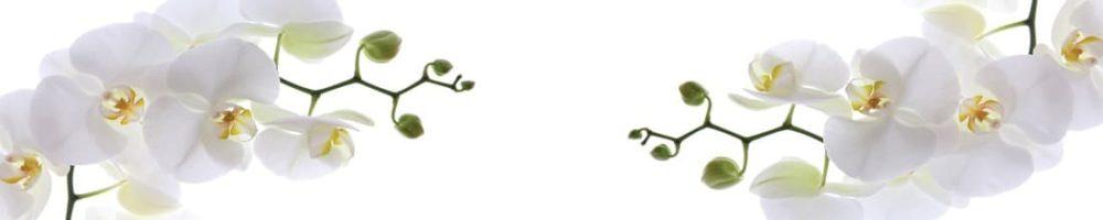 <span  class="uc_style_uc_tiles_grid_image_elementor_uc_items_attribute_title" style="color:#ffffff;">skinali-9630</span>