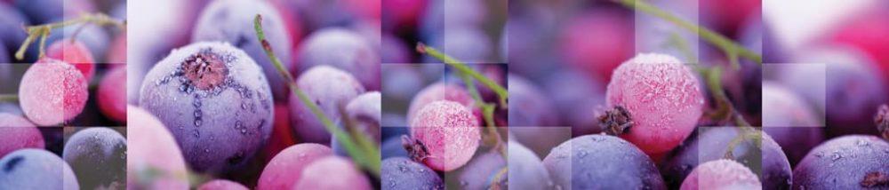 <span  class="uc_style_uc_tiles_grid_image_elementor_uc_items_attribute_title" style="color:#ffffff;">skinali-9634</span>