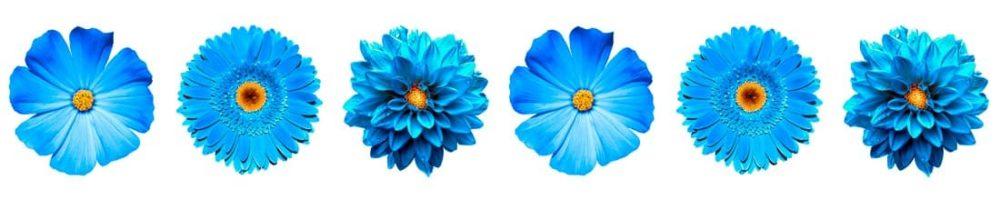 <span  class="uc_style_uc_tiles_grid_image_elementor_uc_items_attribute_title" style="color:#ffffff;">skinali-9700</span>
