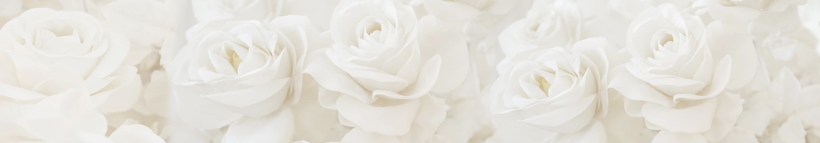 <span  class="uc_style_uc_tiles_grid_image_elementor_uc_items_attribute_title" style="color:#ffffff;">skinali-9763</span>