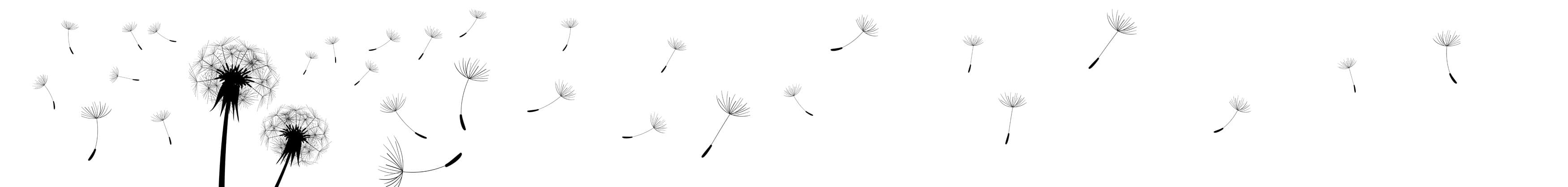 <span  class="uc_style_uc_tiles_grid_image_elementor_uc_items_attribute_title" style="color:#ffffff;">skinali-9971</span>